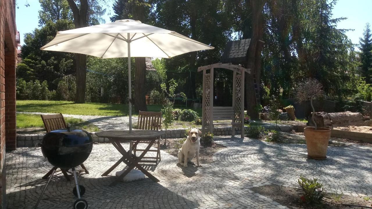 Villa Ley Jelenia Góra Zewnętrze zdjęcie